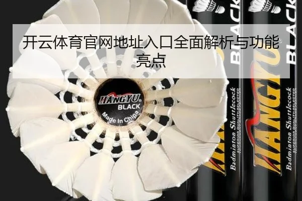 开云体育官网地址入口全面解析与功能亮点